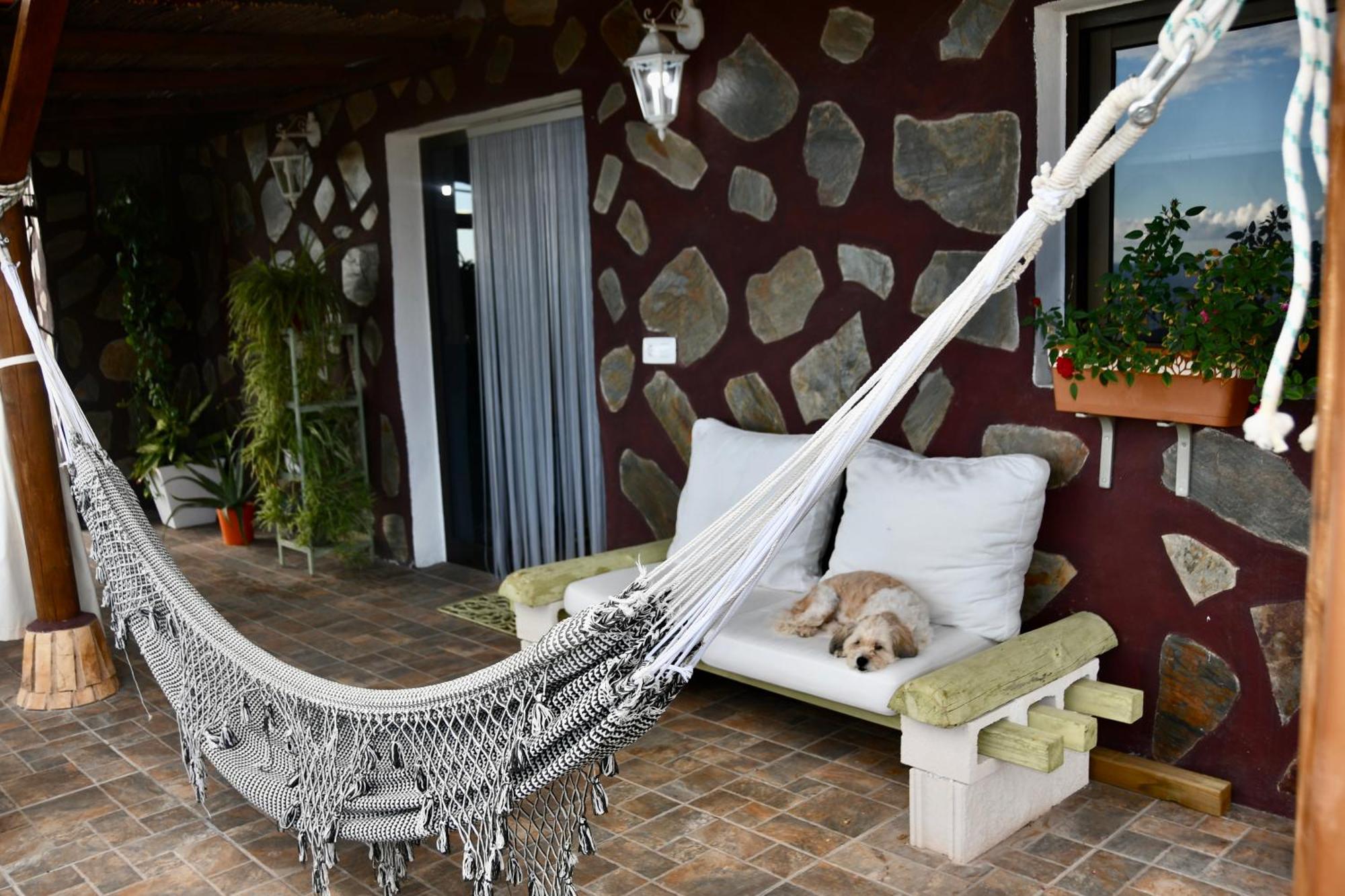 Venus Holiday home Alcala (Tenerife)